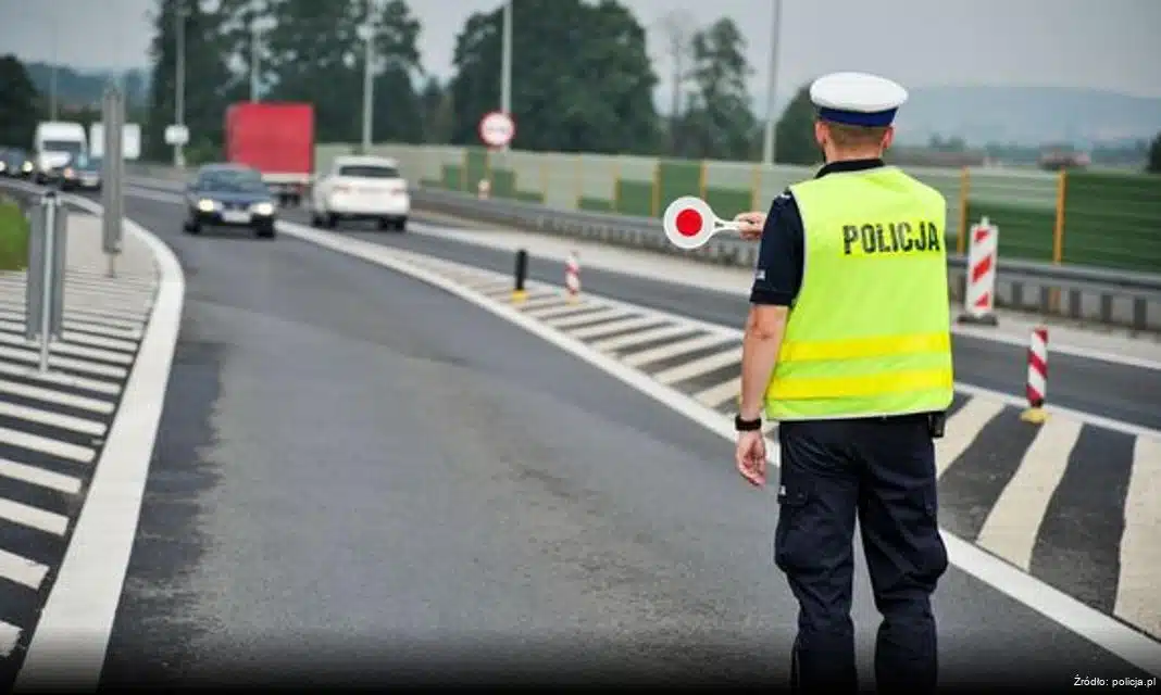 Bolesławiec: Skuteczna akcja policji – zlikwidowano nielegalną uprawę konopi i zabezpieczono narkotyki