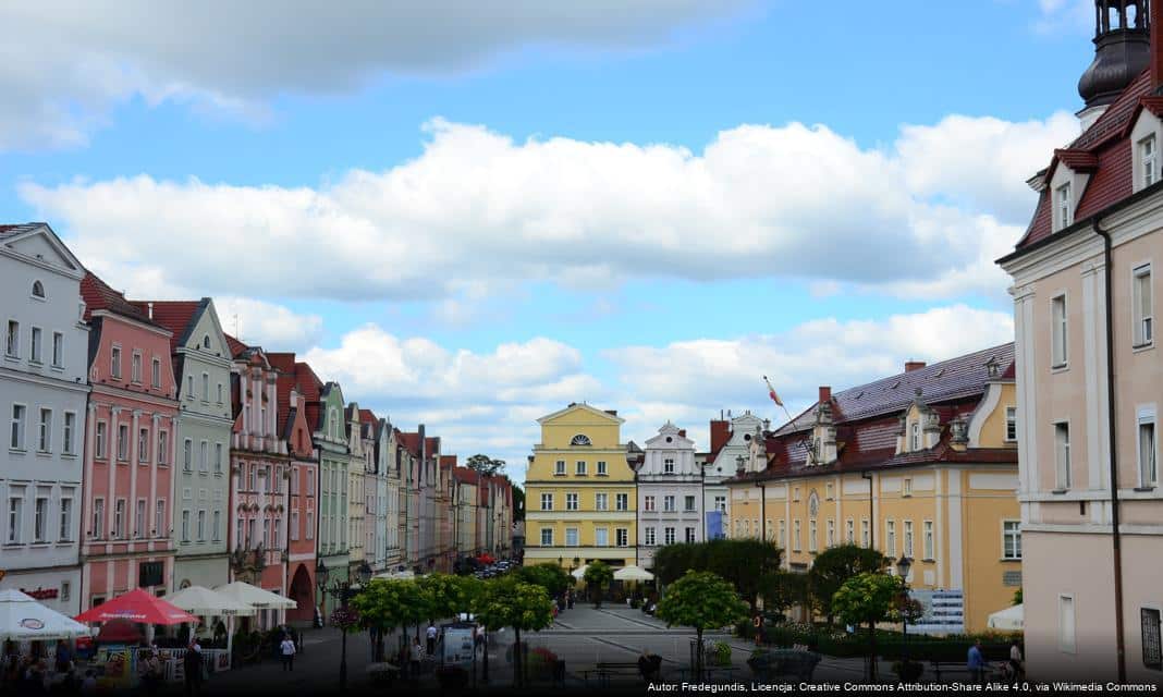 Marzec miesiącem bezpańskich kotków w Szkole Podstawowej nr 4